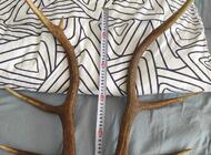 Grajewo ogłoszenia: Sprzedam to co na zdjęciu waga całkowita wszystkich 6,84 kg - zdjęcie